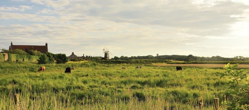 Image of Norfolk